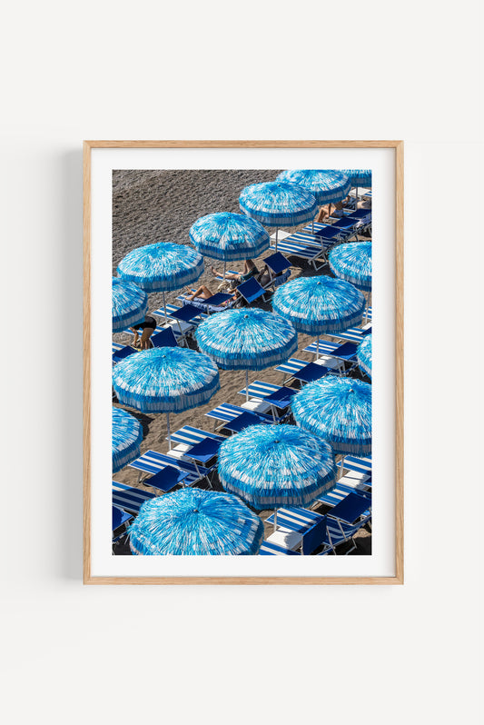 Blue Shades