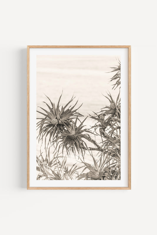Garden by the Sea