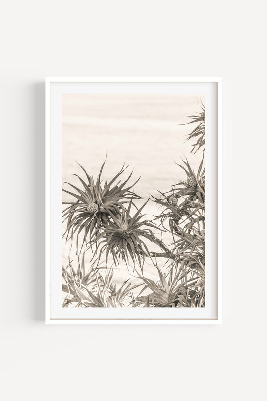 Garden by the Sea