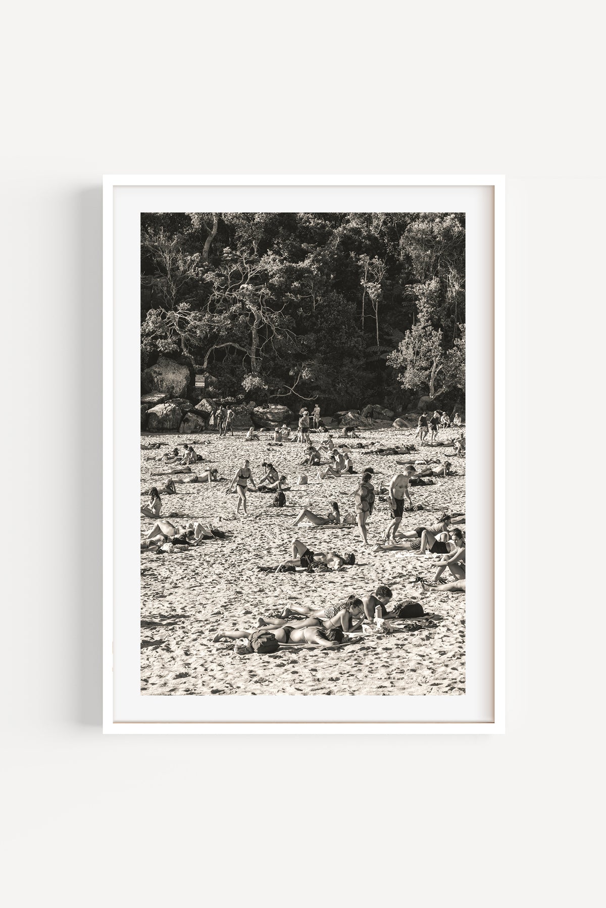 Sea Shells